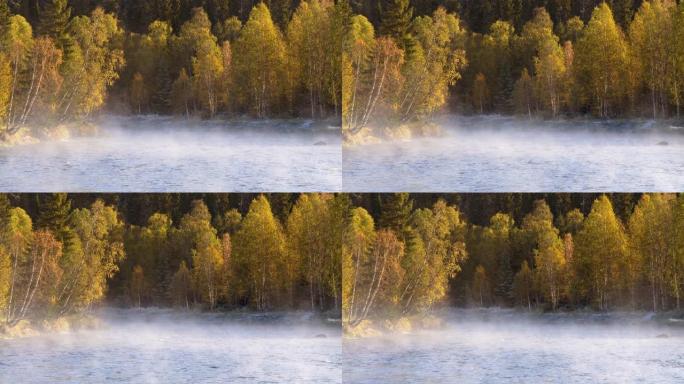 芬兰。钓鱼的时间和地点。秋天被晨雾覆盖的河岸。泛黄的树木。4K
