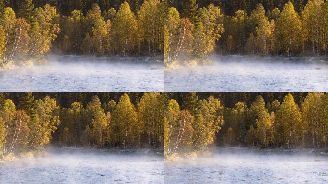 芬兰。钓鱼的时间和地点。秋天被晨雾覆盖的河岸。泛黄的树木。4K