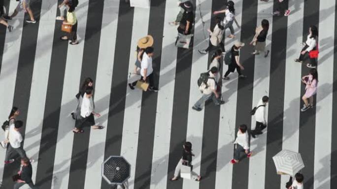 慢动作中长影横穿银座路口的行人俯视图