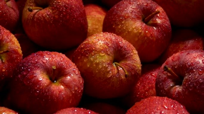 许多闪闪发光的湿红苹果