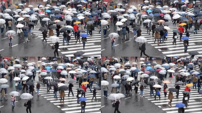 Rainny day涩谷十字路口