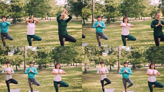 有吸引力的女运动员在户外瑜伽课期间保持一条腿的平衡，发展力量和平衡。绿色公园和明亮的瑜伽垫是可见的。