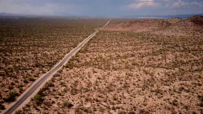 无人机在亚利桑那州国家公园美丽的沙漠道路上飞行，在惊人的巨大的仙人掌田与汽车驾驶。