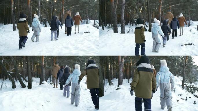 家庭在白雪皑皑的松树林中徒步旅行