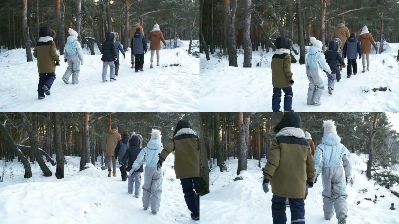 家庭在白雪皑皑的松树林中徒步旅行