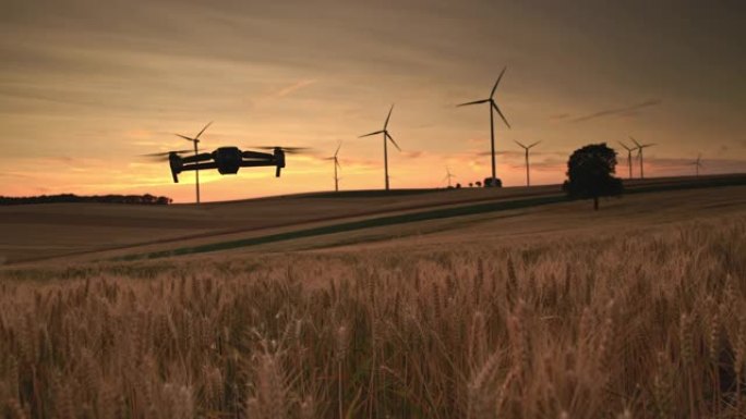 WS无人机拍摄了一块小麦和风力涡轮机的土地