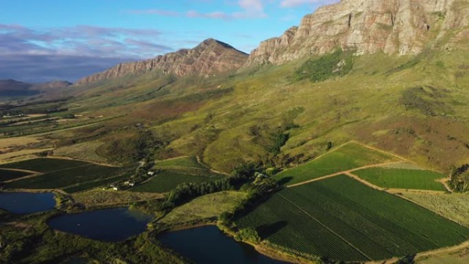 南非西开普省风景如画的葡萄酒庄园上的葡萄园上空飞行的4k美丽的空中风景
