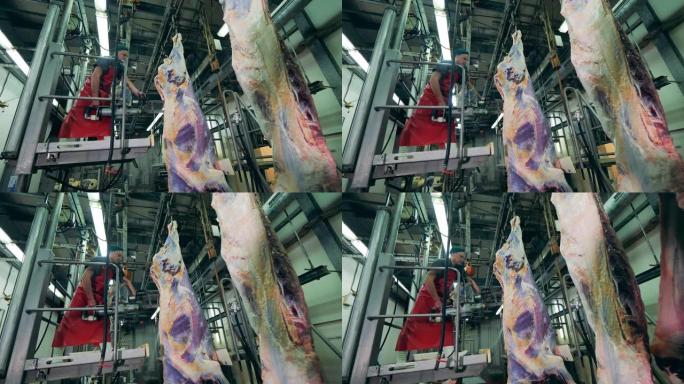 一名男性屠夫正在用机械锯切肉。食品生产、肉类、猪肉加工厂。