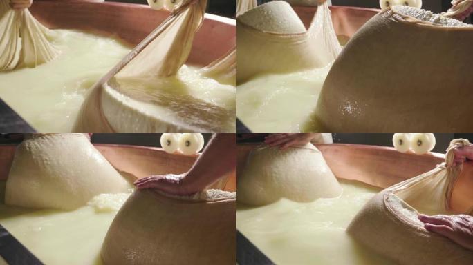 奶酪制造商使用新鲜和生物牛奶准备一种形式的帕尔马干酪。该处理是按照意大利古代传统进行的。