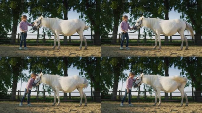 一个可爱的小女孩的真实照片正在阳光下骑马马厩爱抚着一匹白色小马马
