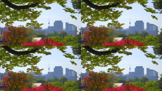 韩国秋季的景福宫素材
