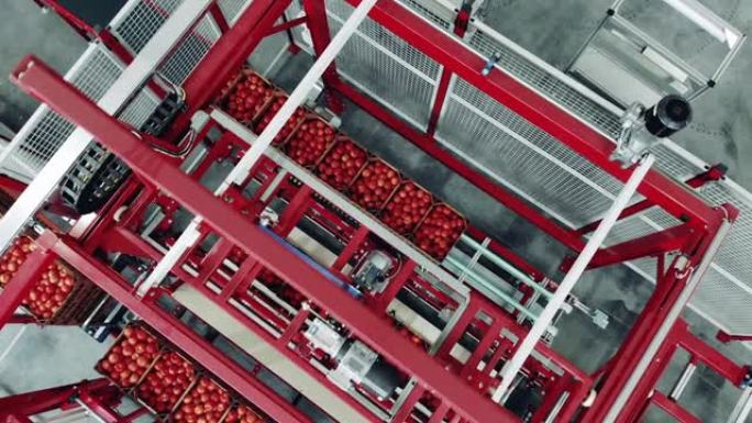 重新安置收获的西红柿的工业机器的俯视图