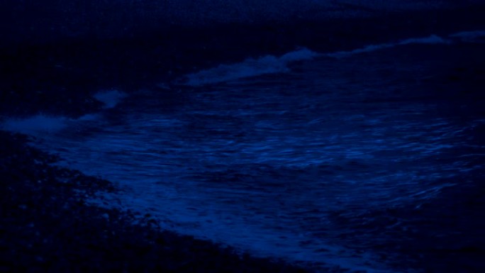 月光下的海浪蓝眼泪