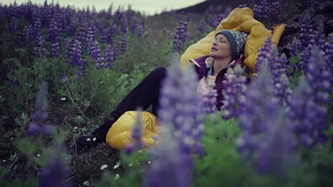 冰岛夏天。女性背包客在盛开的羽扇鱼草地上放松