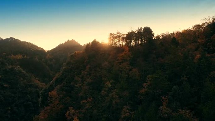 带阳光的鸟瞰山树