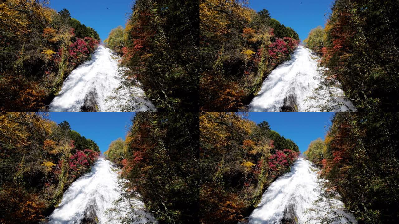 秋日日本日光，玉崎瀑布，森林变色，慢动作