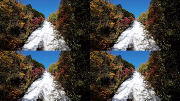 秋日日本日光，玉崎瀑布，森林变色，慢动作