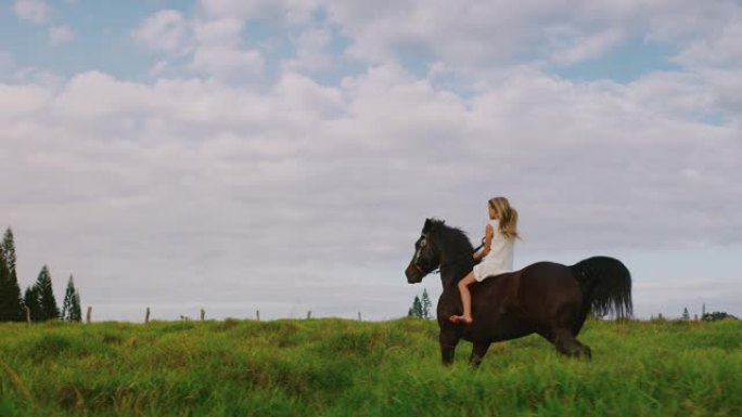 女孩骑马女孩骑马农场黑马