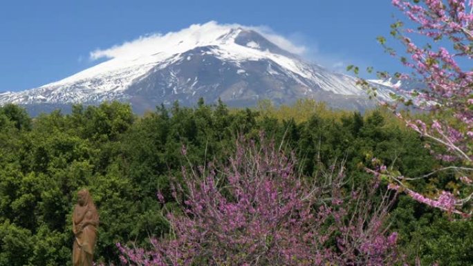 意大利西西里岛。在卡塔尼亚的Giardino Bellini公园和白雪皑皑的埃特纳火山上盛开的春天树