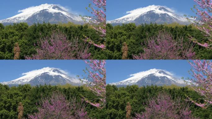 意大利西西里岛。在卡塔尼亚的Giardino Bellini公园和白雪皑皑的埃特纳火山上盛开的春天树