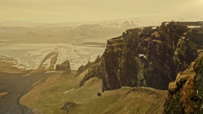 冬季在冰岛飞行的海鸥的慢动作视频
