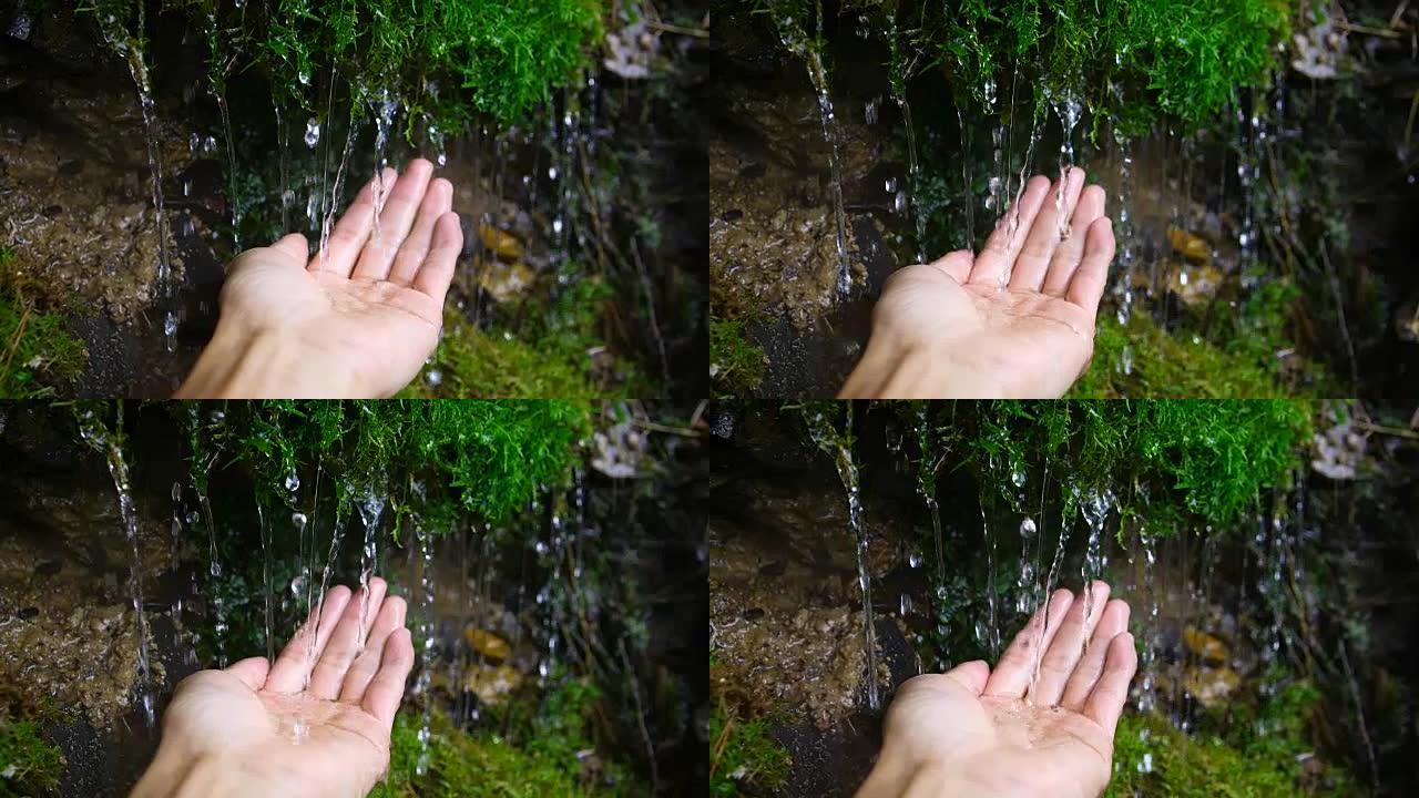 手握苔藓上的水