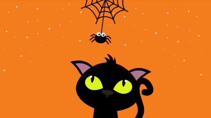万圣节黑暗场景与猫和蜘蛛
