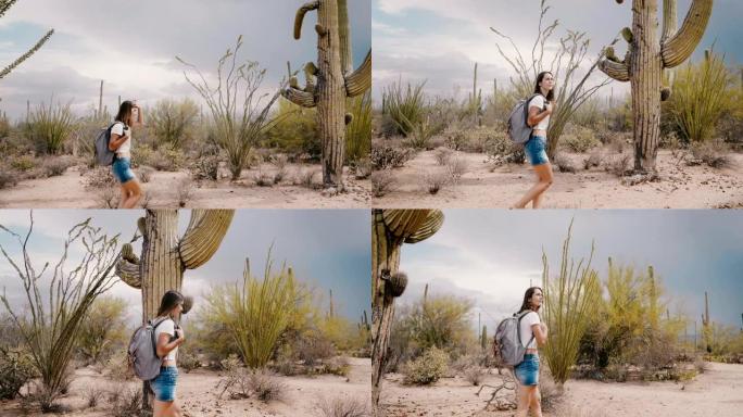 慢动作侧视图年轻的旅游妇女背着背包在美国国家公园的热干仙人掌沙漠中迷路了。