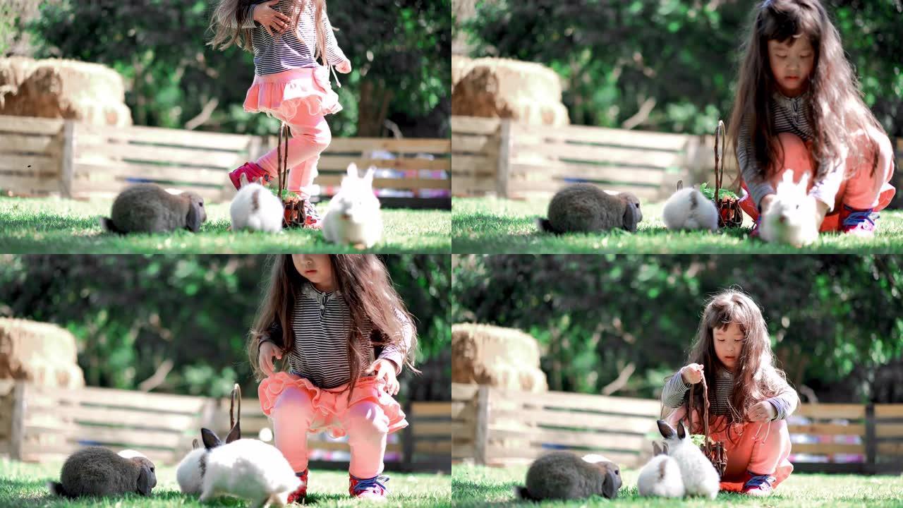 儿童女孩喂养小兔子