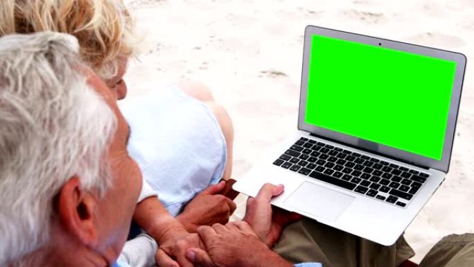 在海滩上使用笔记本电脑的高级夫妇