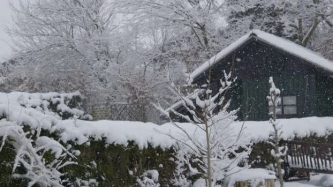 慢动作: 冬天的第一场雪将后院变成了冬天的仙境