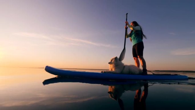 一只狗和它的情妇正在骑划桨板