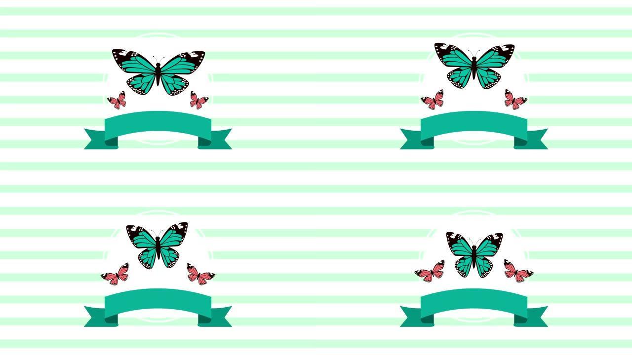 美丽的蝴蝶用丝带动画飞翔