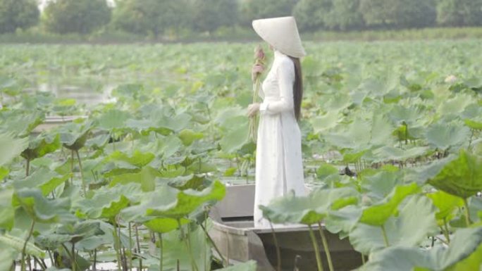 一个穿着越南民族服装或奥黛文化传统的年轻女子站在船上，在荷花花园里。越南