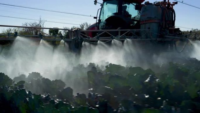 拖拉机在大型蔬菜农场的农作物上喷洒农药