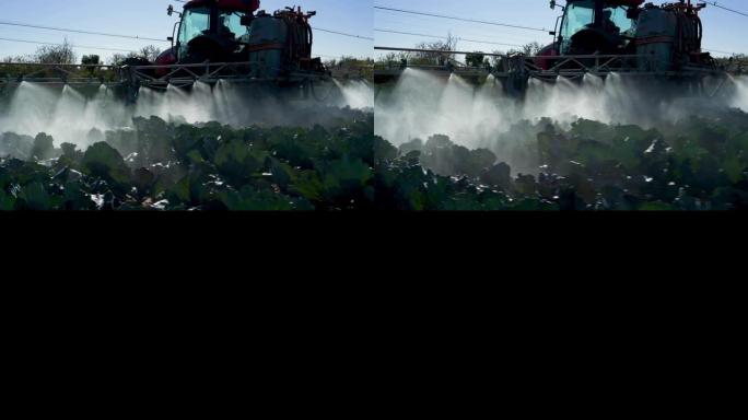 拖拉机在大型蔬菜农场的农作物上喷洒农药