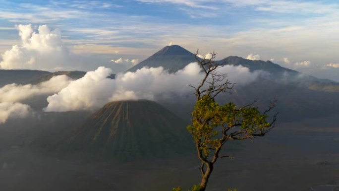 在晴朗的晴天，乌云笼罩着印度尼西亚东爪哇省的布罗莫火山。小树在风中挥舞。4K