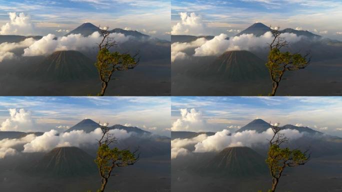 在晴朗的晴天，乌云笼罩着印度尼西亚东爪哇省的布罗莫火山。小树在风中挥舞。4K