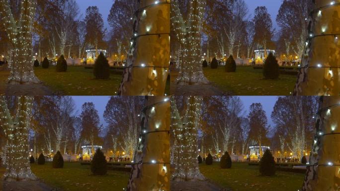 CLOSE UP: White Christmas lights turn a park into 