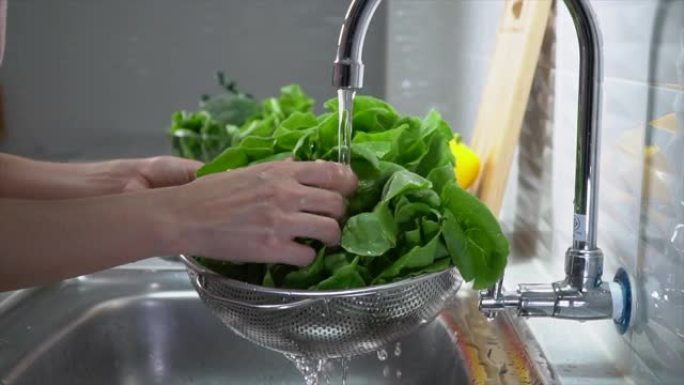 清洁生菜做沙拉清洗蔬菜绿色蔬菜清洗洗菜
