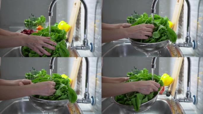 清洁生菜做沙拉清洗蔬菜绿色蔬菜清洗洗菜