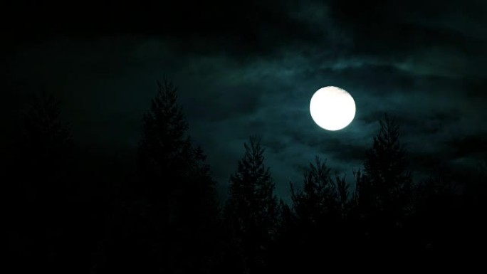 森林中的满月月黑风高三更半夜
