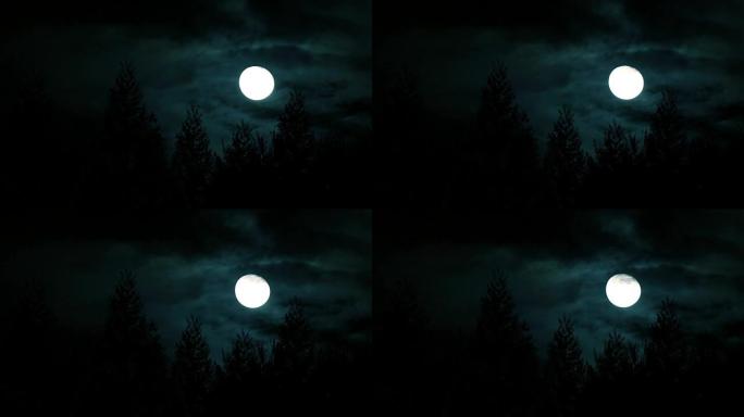 森林中的满月月黑风高三更半夜