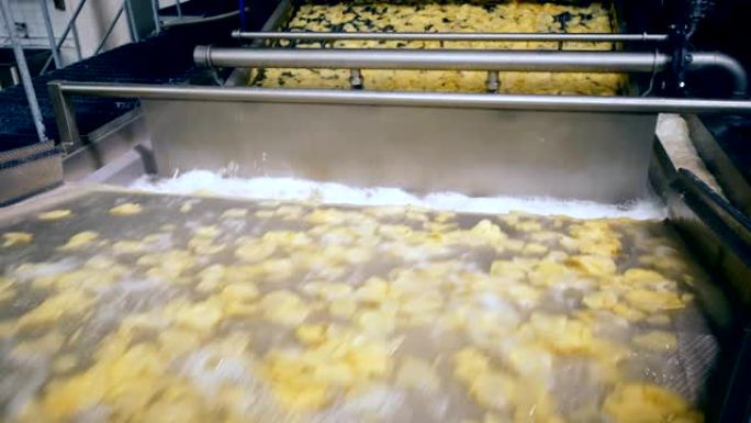在工厂中清洗和切割后，薯片在工厂输送机上移动。