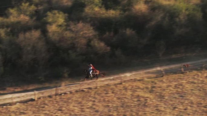骑马者骑着马在球场上疾驰。