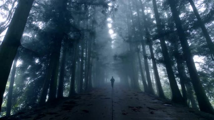 男子在雾路上慢跑迷雾森林