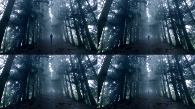 男子在雾路上慢跑迷雾森林