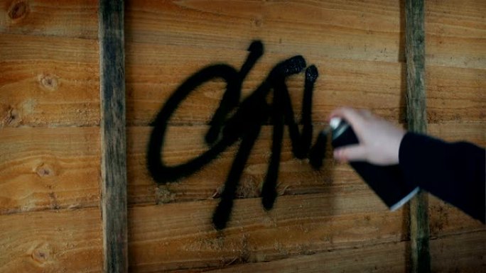 Vandal标签用喷漆围栏