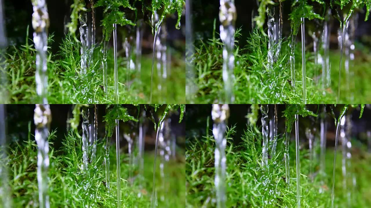 从绿色苔藓流出的水