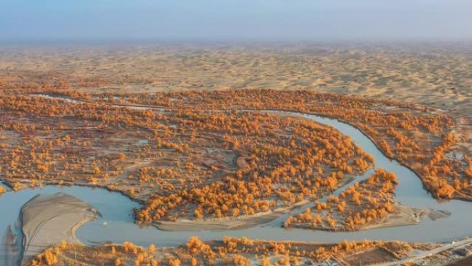 新疆鸟瞰图沙漠绿洲秋季秋意秋景深秋沙海
